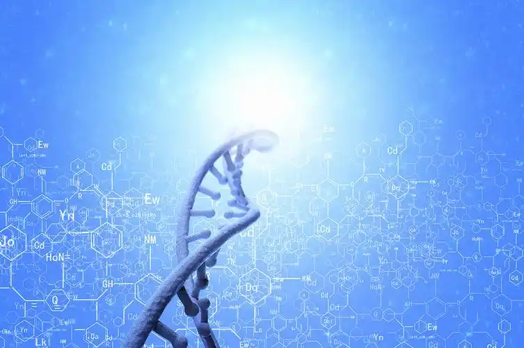 The Correlation between Sperm DNA Fragmentation Rate, Sperm Morphology Rate, and Sperm Acrosome Enzyme and Its Value for Predicting Pregnancy Outcome