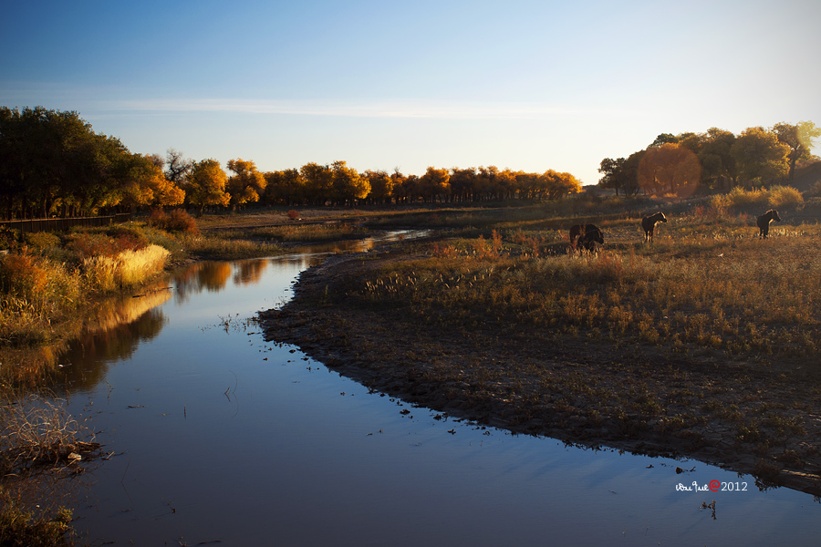 Design and Implementation of the Geospatial Framework for Digital Ejina