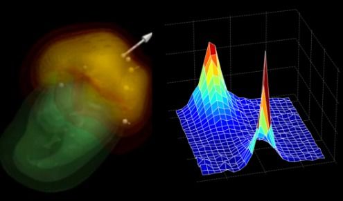 Dissipation-Induced Order: The Collapse of Hamiltonian Chaos in a Four-Pendulum System