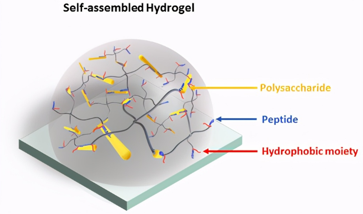 Research Progress on Self-Healing Polysaccharide Hydrogels