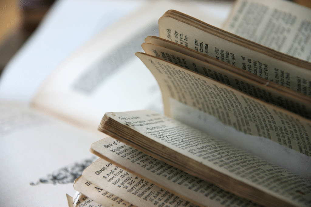 The Impact of Digital Environments on the Reading of World Literature among Bilingual Learners