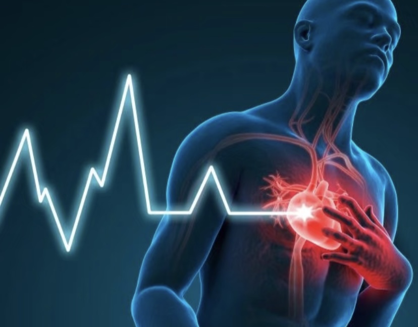 Solving the Dilemma of Simultaneous Heart-Brain Disease Treatment: Experts Call for Breaking Down Traditional Disciplinary Barriers