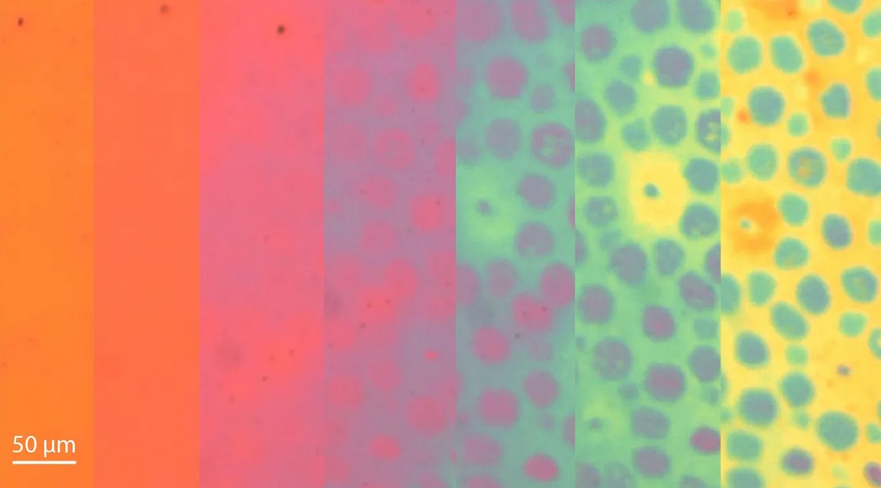 New Advances in Biomimetic Skin: Simultaneous Color and Texture Transformation Paves Way for Robots with “Living” Skin