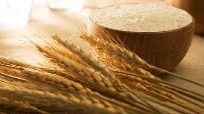 Molecular Mechanism Underlying Wheat Dough Quality Formation Revealed