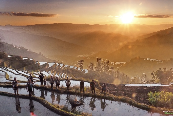 Affective Realism and Rural Regeneration: Documentary Storytelling and Cinematic Citizenship in Shepherds on the Divide