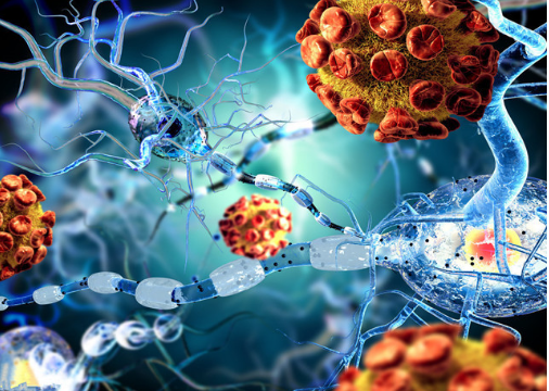Characteristics of ROS1 Non-fusion Expression in Pan-cancer: Expression Heterogeneity, Prognostic Value and Association with Immune Microenvironment and Genomic Stability