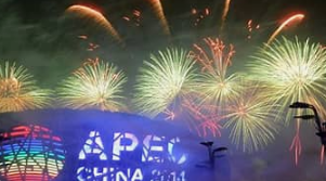 Special Mandate of APEC Bodies in Digital Trade