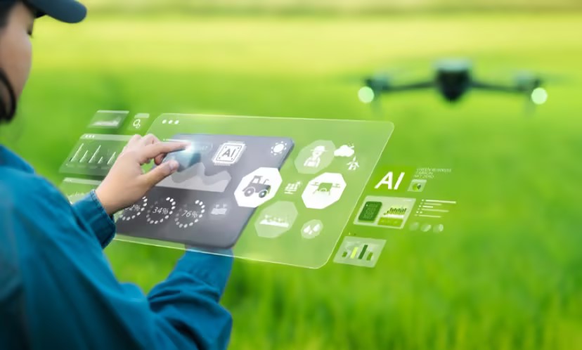 Optimization of Weather Index Insurance for Rice Cultivation Based on Relaxed Lasso-blockchain Hybrid Technology: A Case Study in Anhui Province