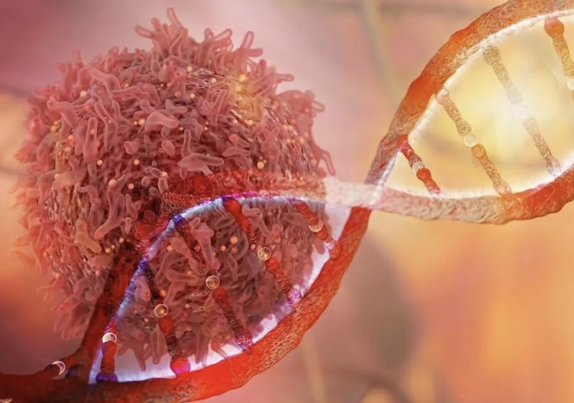 Multifunctional Antibody–drug–nanoparticle Conjugates Conjugates for precision Cancer Therapy