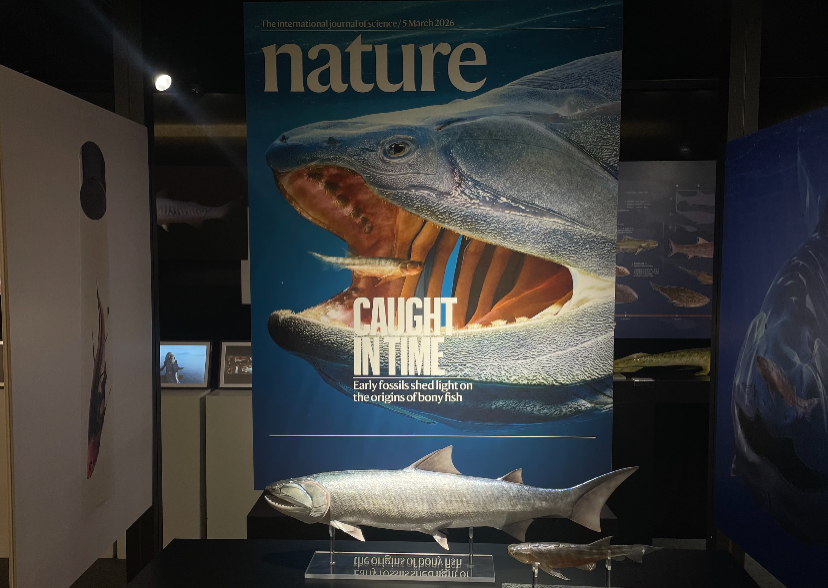 Major New Breakthrough in the “From Fish to Human” Evolutionary Research