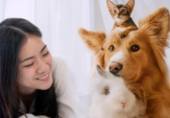 Pet Economy Enters a New “Emotional Consumption” Cycle: Consumption Upgrading and Industrial Transformation in the Trillion-yuan Track