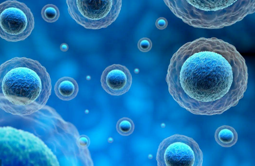 Association of LEMD1 Overexpression and Chromosome 1q Gain with Chromosomal Instability in Esophageal Squamous Cell Carcinoma: A TCGA Multi-omics Analysis
