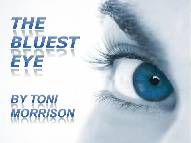 The Causes of Pecola’s Tragedy in The Bluest Eye from the Perspective of Feminism