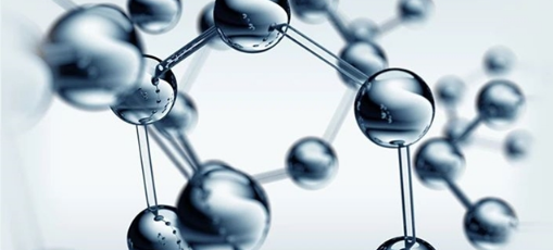 Insect-derived Bioactive Peptides with Antioxidant Activity: Sources, Preparation, Mechanisms, and Future Perspectives