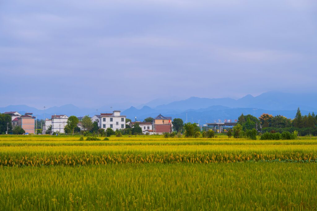 From Rural Governance to Grassroots Rule of Law: Historical Evolution and Legal Response of China’s Social Governance Model