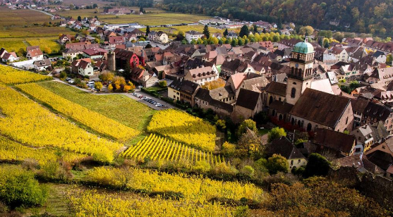 Mechanisms of Rural Cluster Development: A Comparative Case Analysis of Eight Models in Zhejiang, China